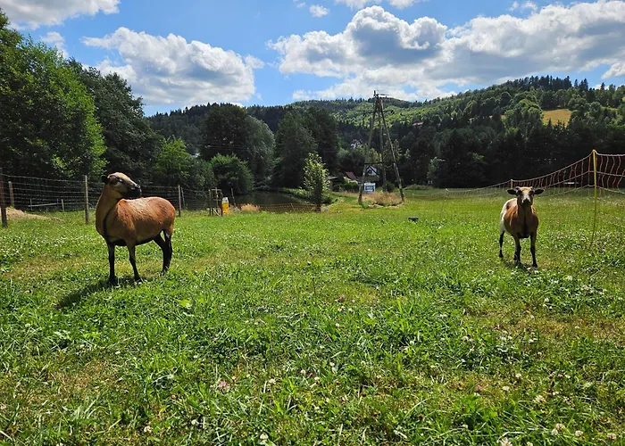 Kominkowka